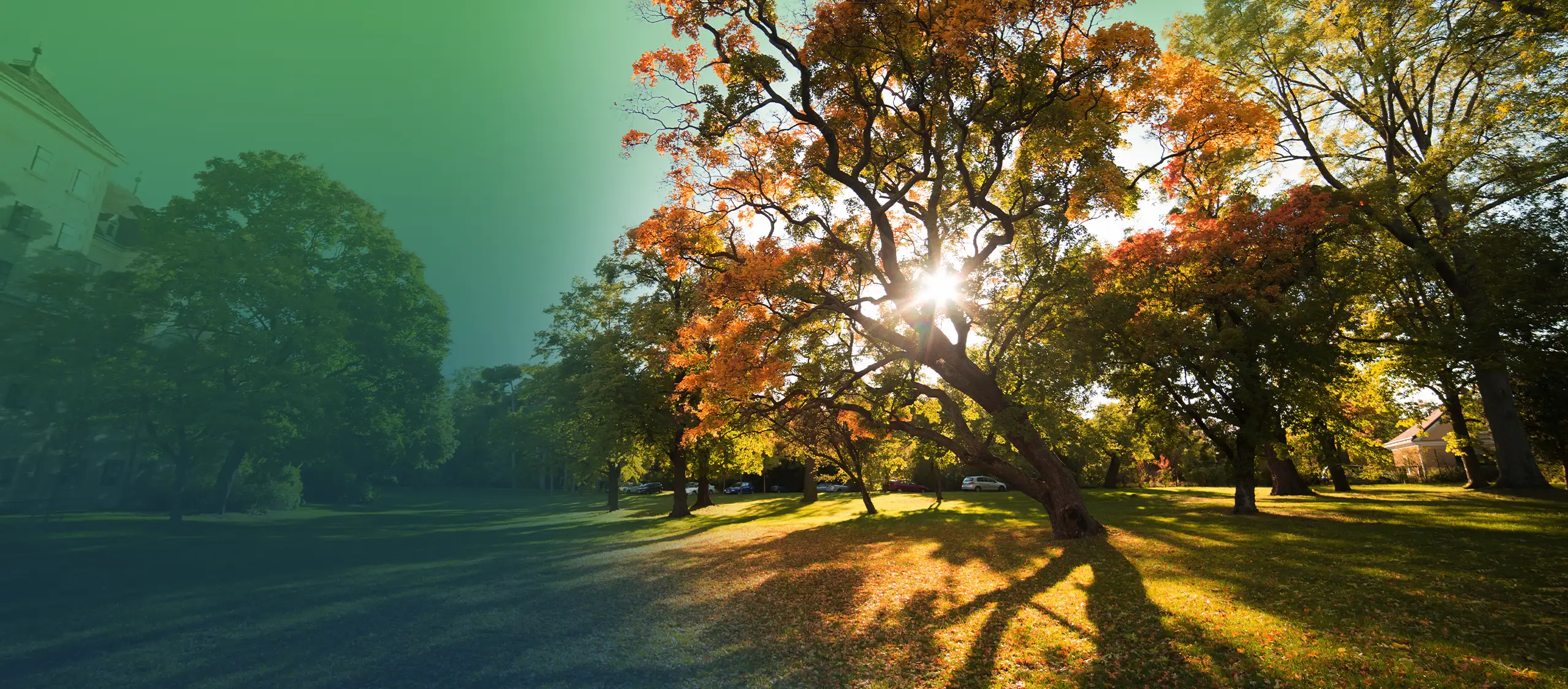 The Practice : About Dr. Markey