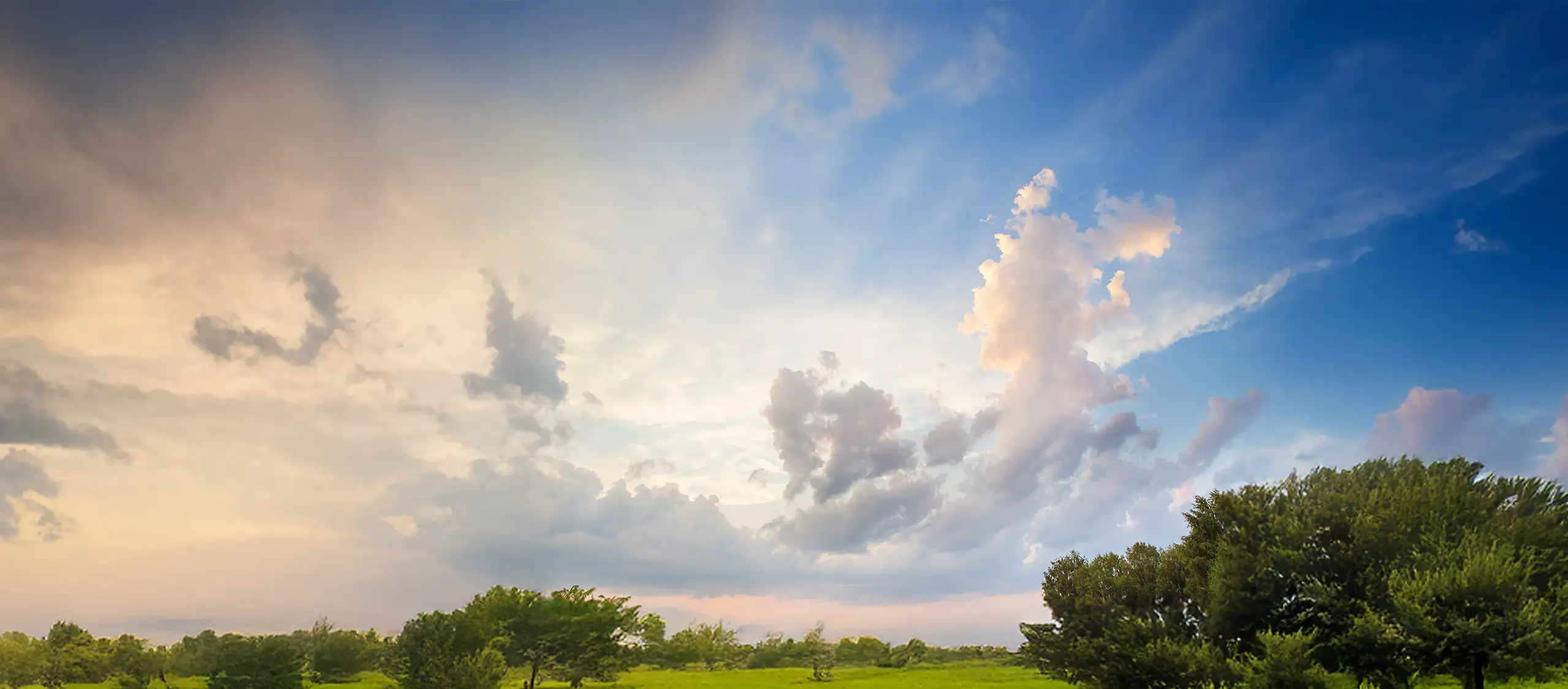 For Patients : Payment Options