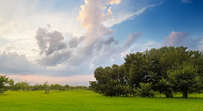 Other Tools : Pay My Bill